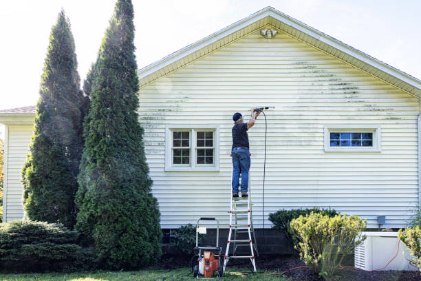 Best Sidewalk and Walkway Cleaning  in Brenham, TX